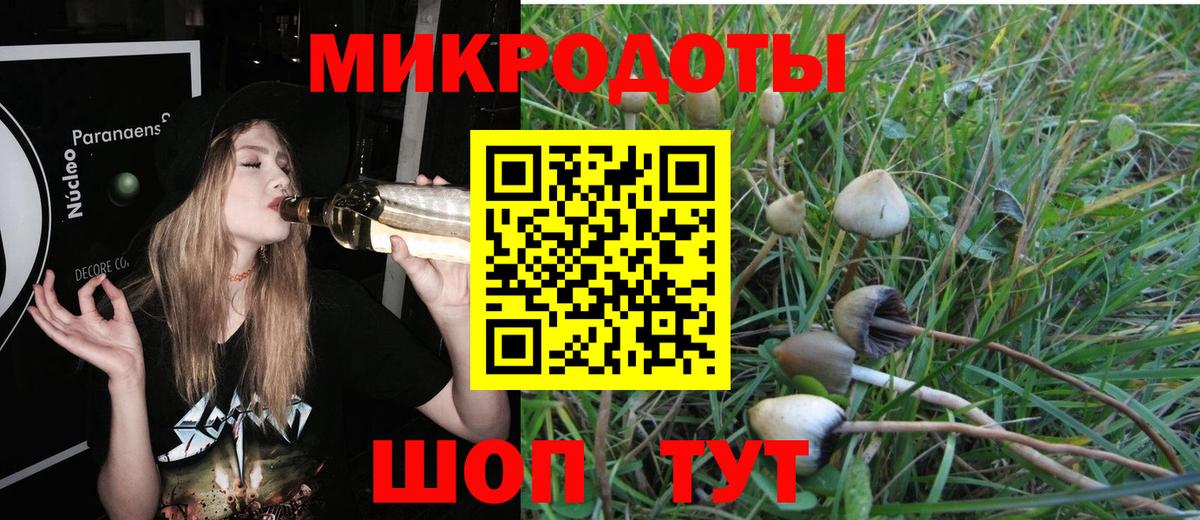 Галлюциногенные грибы Psilocybe  Вход с VPN  Донецк 