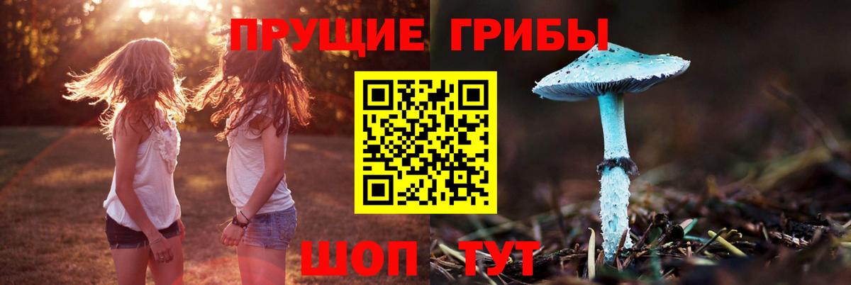 Галлюциногенные грибы мицелий Донецк